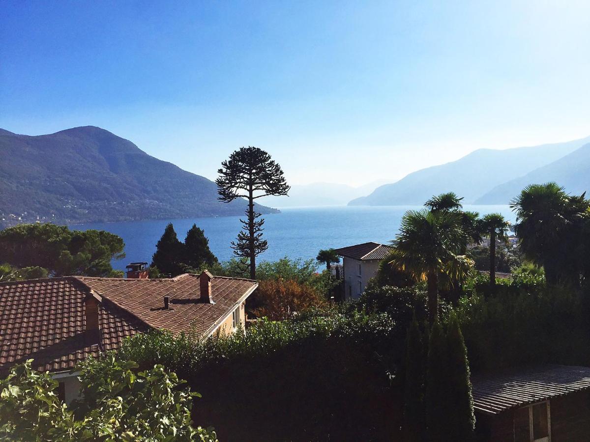 Holiday Home Stellina Del Sole By Interhome Brissago Dış mekan fotoğraf